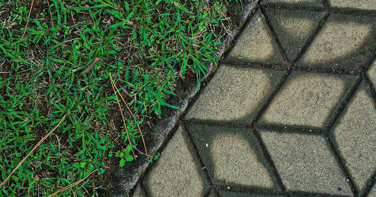 Green grass meeting a paved diamond-pattern border at a sharp edge
