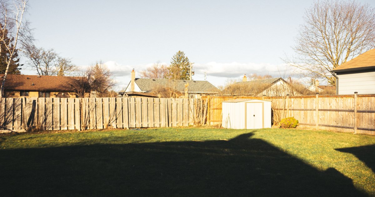 Fenced backyard lawn with a small storage shed in the corner