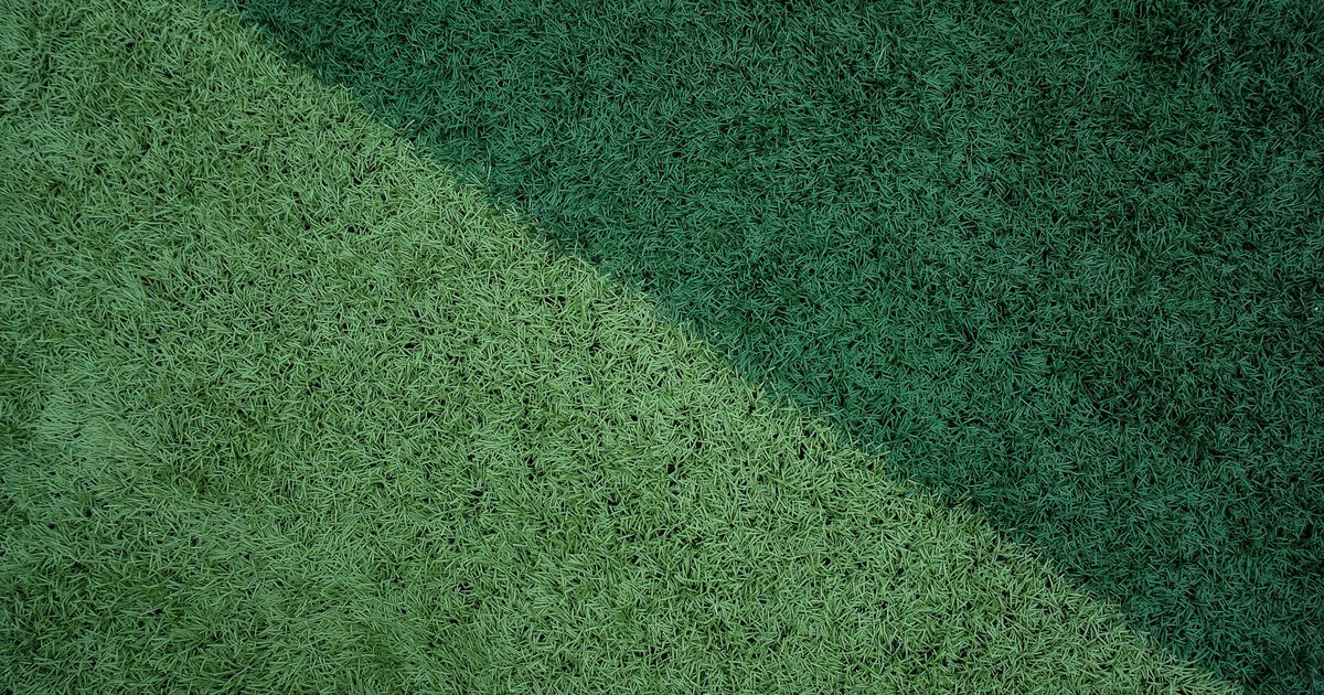 Green grass surface showing directional texture and sheen