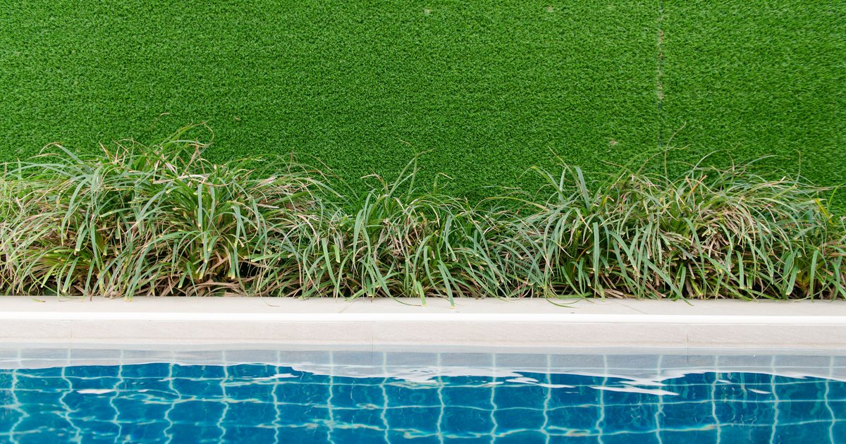 Close-up of artificial turf edge where weeds and grass grow along the border