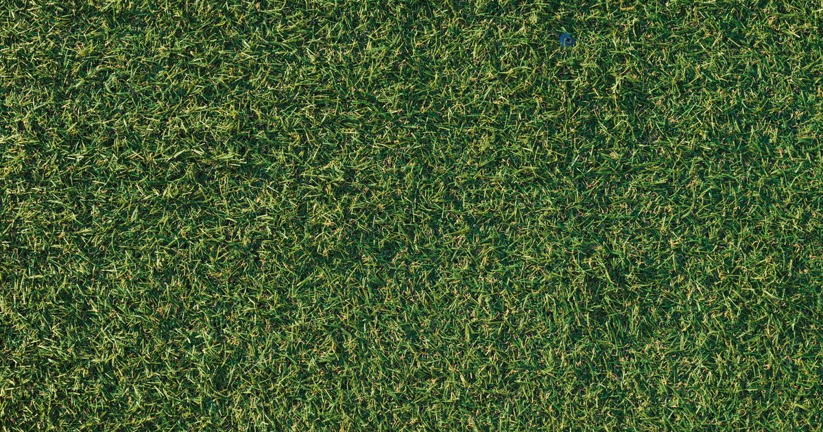 Close-up top-down view of dense synthetic turf blades