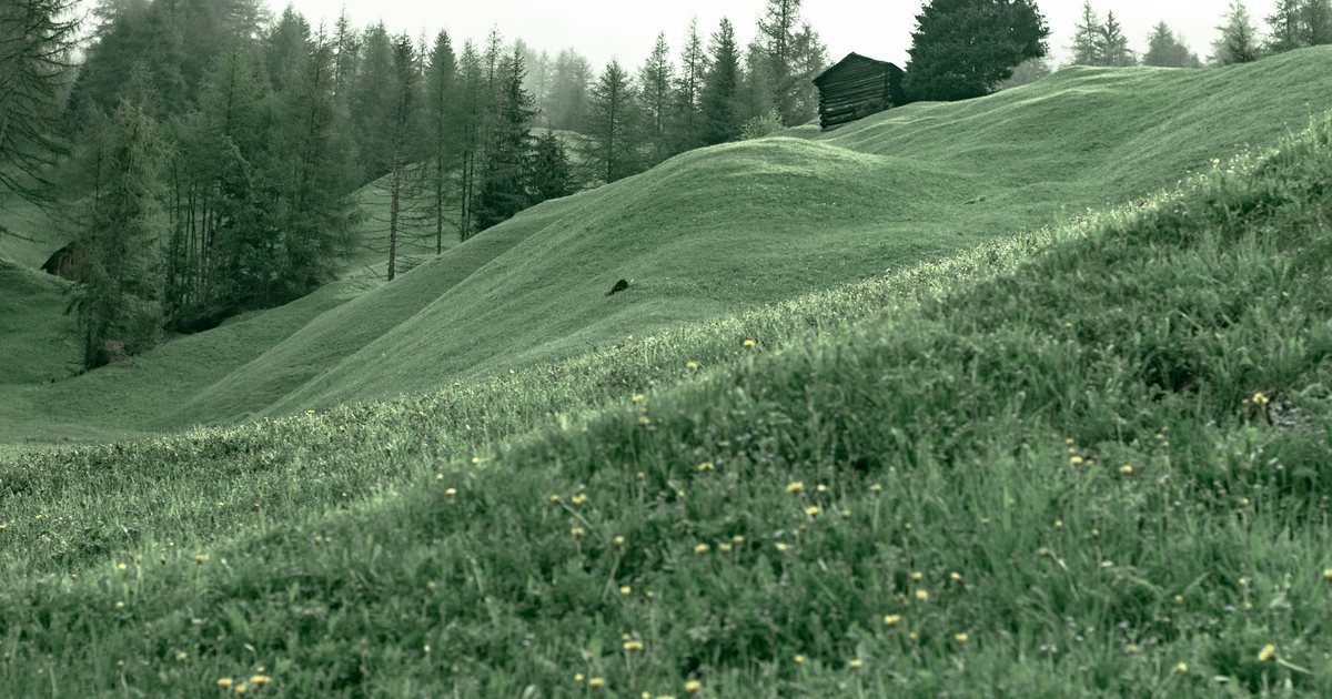 Sloped grassy hillside A grassy green hillside with a gentle rolling slope